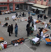 Malatya kayısısında fiyat uçurumu büyüyor: Tarlada 220 TL, markette 700 TL!