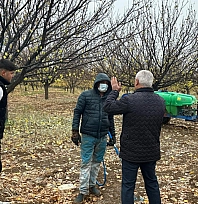 Malatya Kayısısında Verimi Artıracak Kritik Uyarı: Sonbahar İlaçlaması Başladı!
