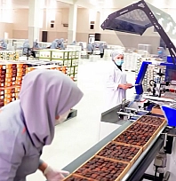 Malatya kayısısından 247 milyon dolarlık gelir