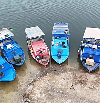 Malatya'nın gelir kapısı oldu: Günlük 2 ton toplanıyor, Ortadoğu ülkelerine satılıyor…