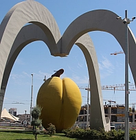 Malatya'nın gururuyla oynandı: İstanbul, Ankara, İzmir ve toptancılarda kaçak kayısı alarmı!