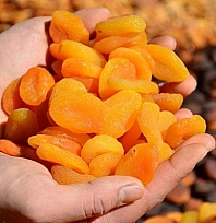 Malatya'nın ihracatı düşüyor…