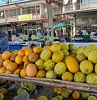 Malatya'nın Irmaklı kavunu tezgahlarda yerini aldı