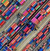 Malatya'nın kaybı 57 milyon dolar | Kayısı Dondu, İhracat düştü