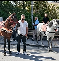Malatya'nın şampiyon atı Kaçkar yeniden piste çıkıyor! Hedef Erzurum'da zafer