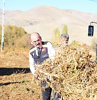 Malatya'nın yöresel lezzetinin sofraya yolculuğu başladı!