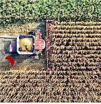 Malatya tarımında yeni dönem!