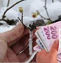 Malatya ve 36 ilde zirai don destekleri artıyor: 6,5 milyar TL daha ödenecek