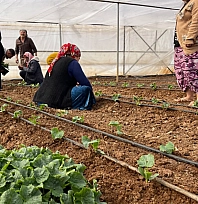 Malatya'ya çalışmaya geliyorlardı! Artık kendi arazilerinde üretim yapıyorlar