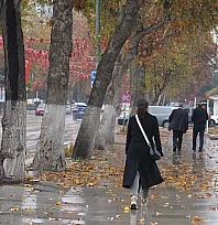 Malatya'ya kış erken geldi: Meteoroloji zirai don için uyardı…