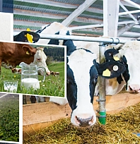 Malatyalı Üreticiye Can Suyu: 2 Milyar TL Hesaplara Aktarıldı…