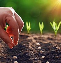 Malatyalılar hesaplarınız kontrol edin: 331 milyon TL'lik destek ödemeleri yatırıldı…