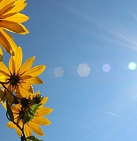 Meteoroloji açıkladı: 13 Ağustos Çarşamba hava durumu raporu... Malatya'da bugün hava nasıl olacak?