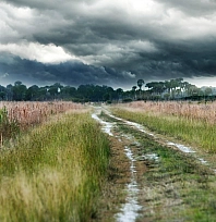 Meteoroloji saat verdi: Malatya'da etkili olacak!