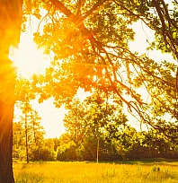 Meteoroloji tarih verdi! Malatya'da güneş yine yüzünü gösterecek!