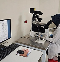 Mikro-TESE yönteminde büyük başarı