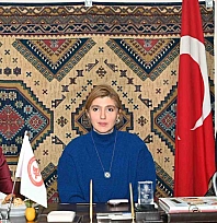 Milletvekili Ölmeztoprak'tan mahalle mahalle yerinde istişare