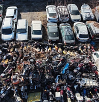 Milyonluk araçlar yosun tuttu