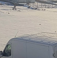 Minibüs şarampole devrildi: 3 yaralı