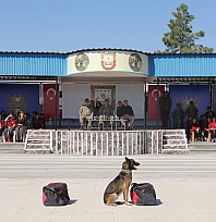 MSB'den Malatya paylaşımı!