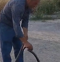 Malatyalı muhtar, evlere giren yılanları elleriyle tek tek yakalıyor