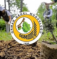 Orman Genel Müdürlüğüne Onlarca Personel Alınacak: Başvuru Tarihleri Ve Şartlar Açıklandı