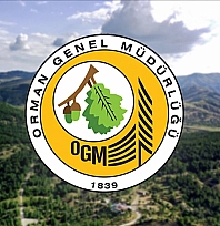 Orman Genel Müdürlüğünün 496 sözleşmeli personel alımına ilişkin detaylar belli oldu