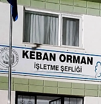 Orman yangınları için kritik günler: Yetkililerden peş peşe uyarı
