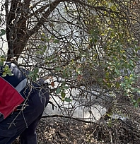 Ormanlık alanda korkutan yangın