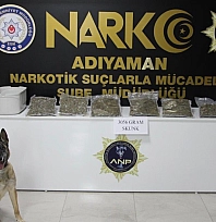 Otobüste kilolarca uyuşturucu bulundu