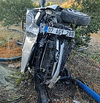 Otomobil meyve bahçesine daldı! Yaralılar var...