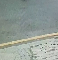 Otomobilin çarptığı öğrenci yaralandı