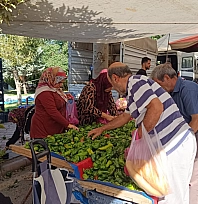 Pazarda kilosu 20 liraya kadar düştü: Malatyalılar kasa kasa aldı