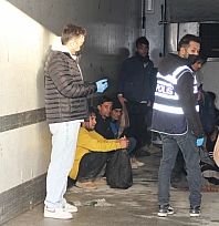 Polisin durdurduğu tırda şok görüntü!