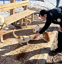 Polisler sokak hayvanları için mama bıraktı