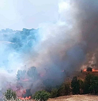Malatya'da yangın devam ediyor