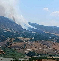 Malatya'da orman yangını! Ekipler müdahale ediyor