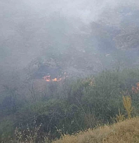 Malatya'da Orman Yangını! Pütürge'de Alevlere Karadan Müdahale Sürüyor