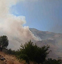 Malatya Valiliği, Pütürge'deki arazi yangınıyla ilgili son durumu paylaştı