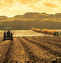 Resmi Gazete'de yayımlandı: Hazine destekli kredilerde yeni dönem| Vergi ve SGK borcu şartı geldi