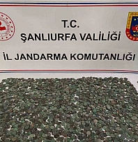 2 bin 644 adet gümüş ve bronz sikke ele geçti