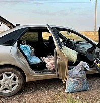 4 fıstık hırsızı suçüstü yakalandı