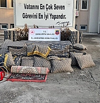 Şanlıurfa'da bağ evinde hırsızlık: 4 gözaltı