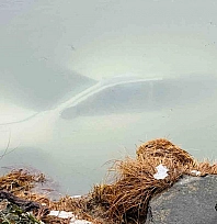 Kurtardıkları 3 yaralıyı evlerinde ağırladılar