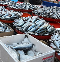 Soğuk hava balık tezgahlarına da vurdu