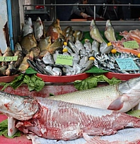 Soğuk havalarda vatandaşların balığa ilgisi artıyor