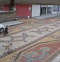 Sokak köpeklerinin saldırdığı çocuğu esnaf kurtardı
