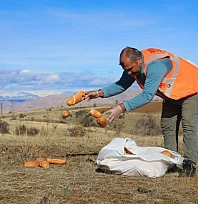 Sokak ve yaban hayvanları için doğaya yem bırakıldı