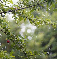 Son dakika: Meteoroloji saat verdi! Malatya'da bugünde etkili olacak