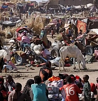 Sudan'ın Faşir kentinden 62 binden fazla kişi göç etti